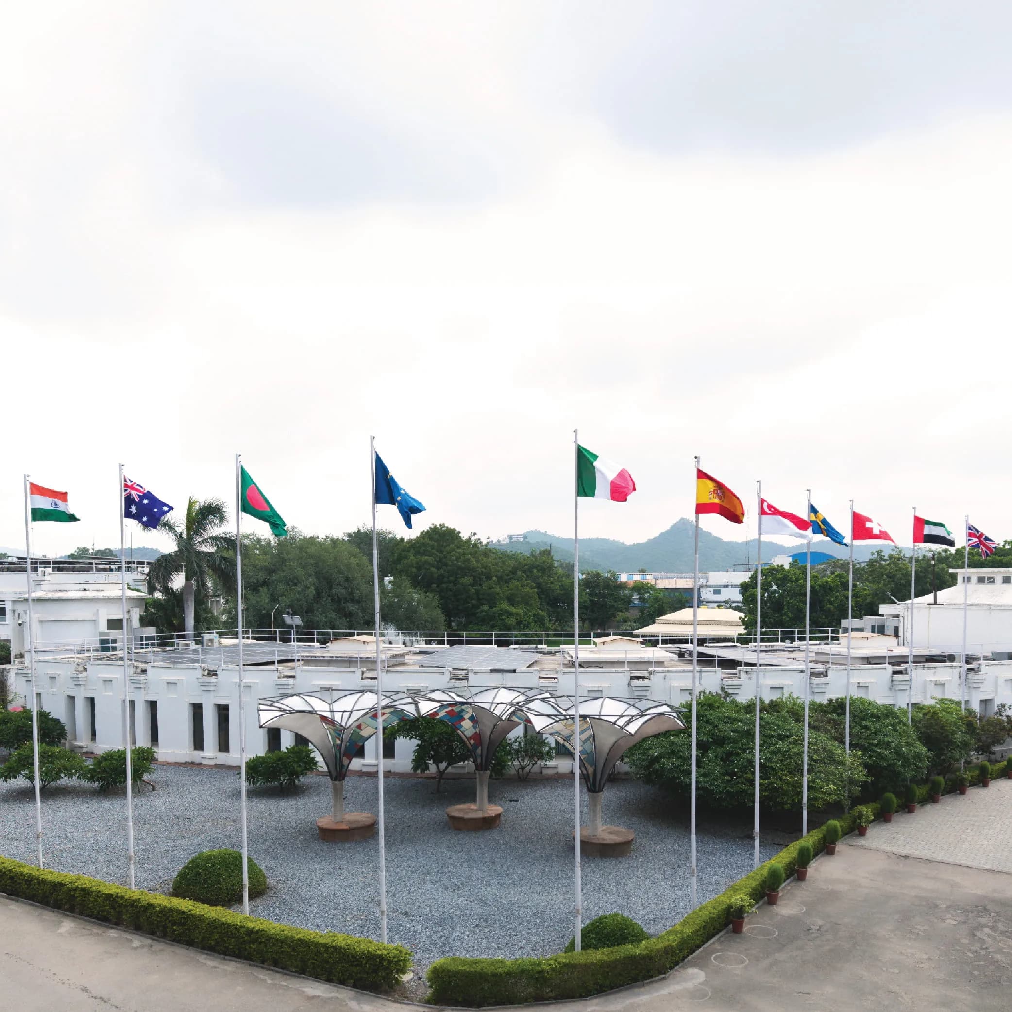 From an idea to a global impact